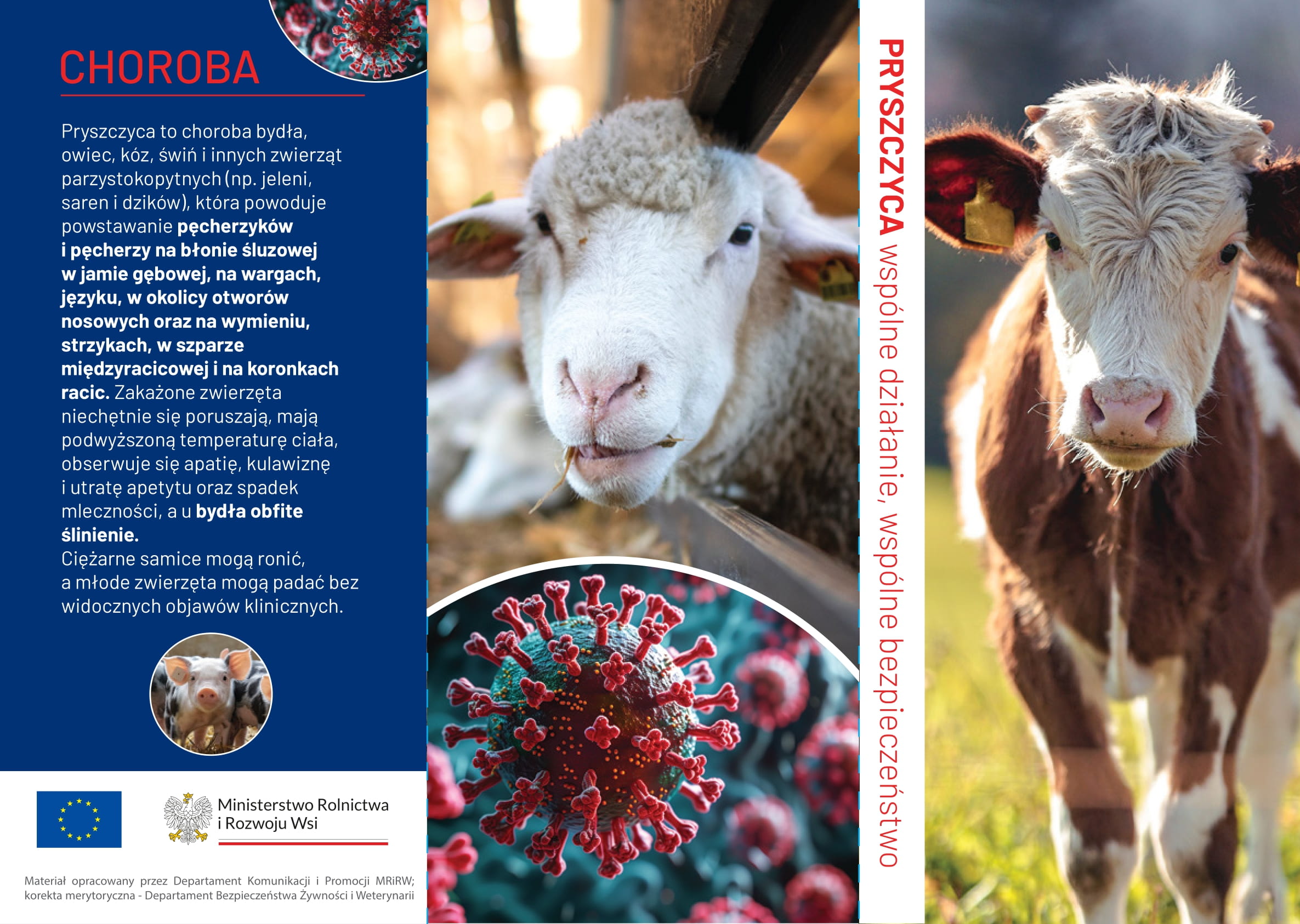 Ulotka pryszczyca 1